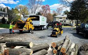 Lawn Grading and Leveling in Clifton Forge, VA