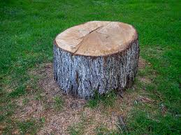 Best Firewood Processing and Delivery  in Clifton Forge, VA