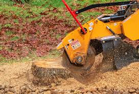 Best Grass Overseeding  in Clifton Forge, VA