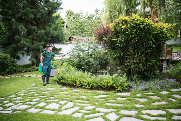 Best Landscape Design and Installation  in Clifton Forge, VA